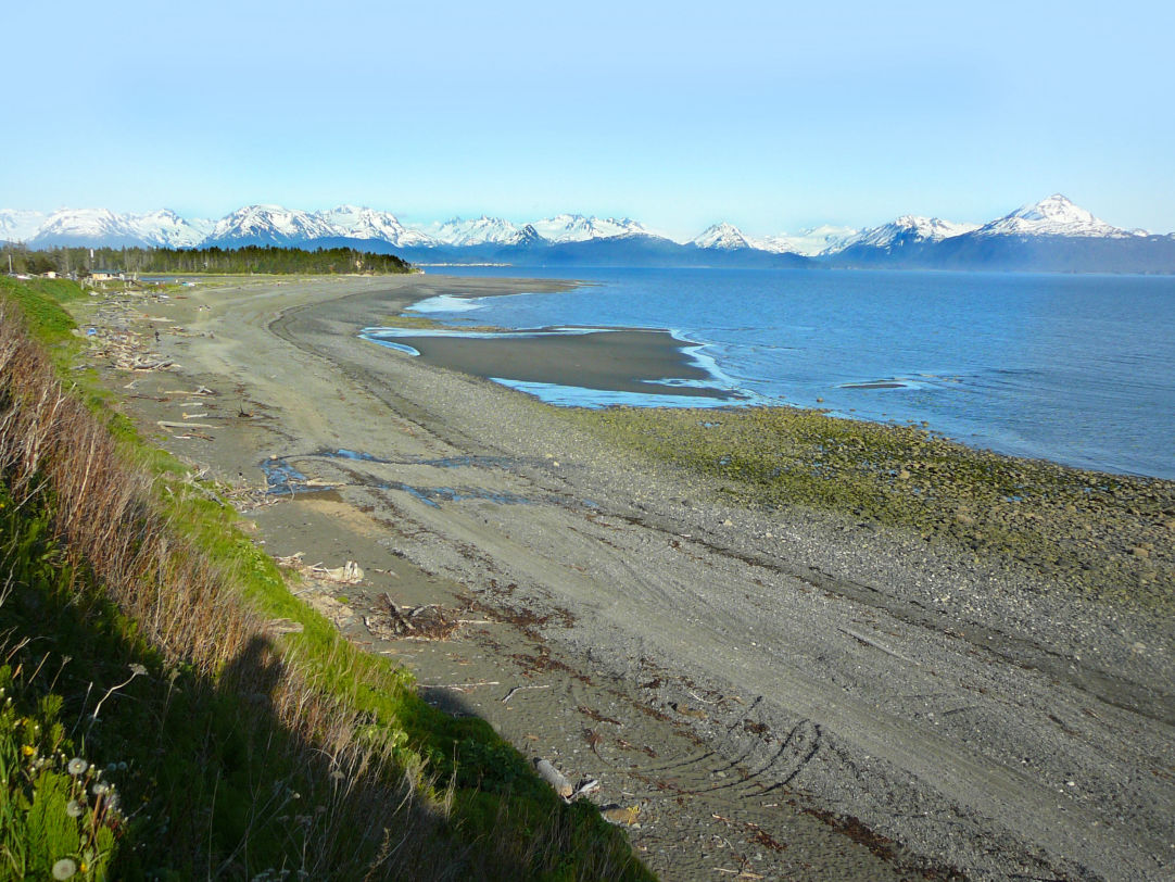 Homer beach